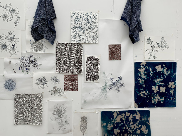 artist residency, Ventnor Botanic Garden