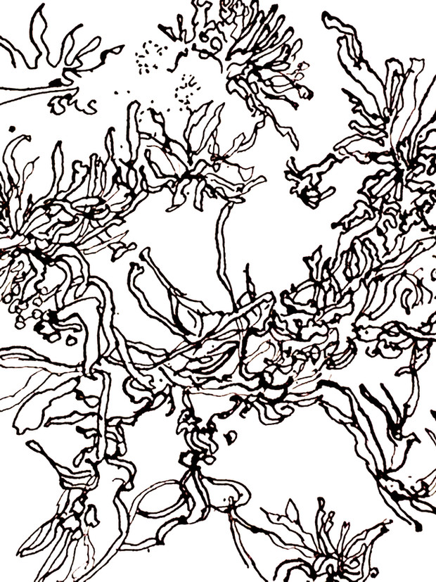 Drawing and painting course in Greece, August 2020