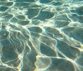 image21.jpg