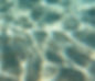 image21.jpg