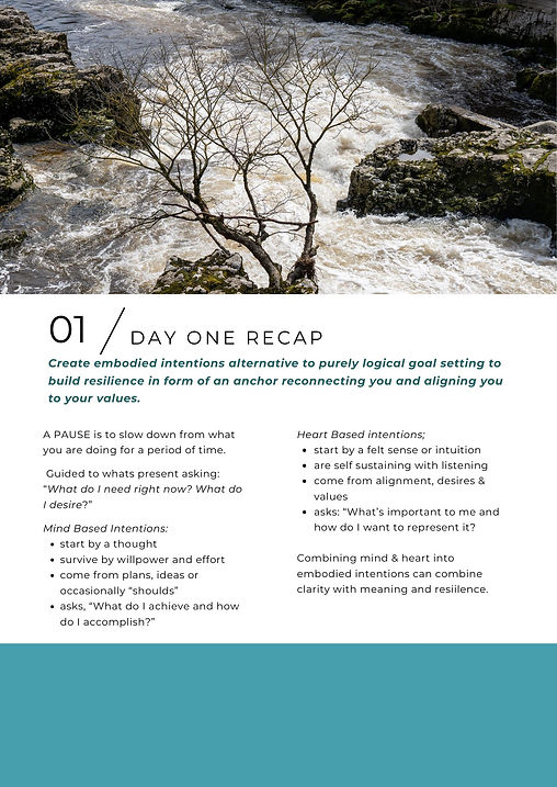 The Resilience Reset 5 Day Workbook