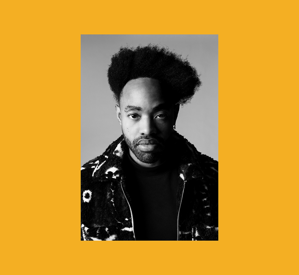 Laury Aucalme description