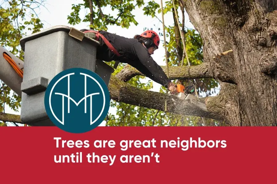 Taylor-Made Homefront: Trees are great neighbors…until they aren’t