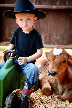 Screen Shot 2024-08-19 at 9.01.01 PM.png