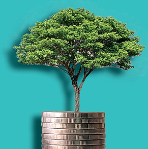 Investment treat showing growth