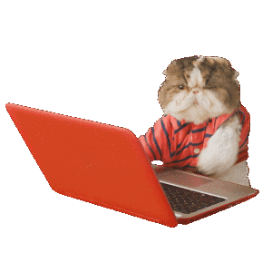 estagiario.gif