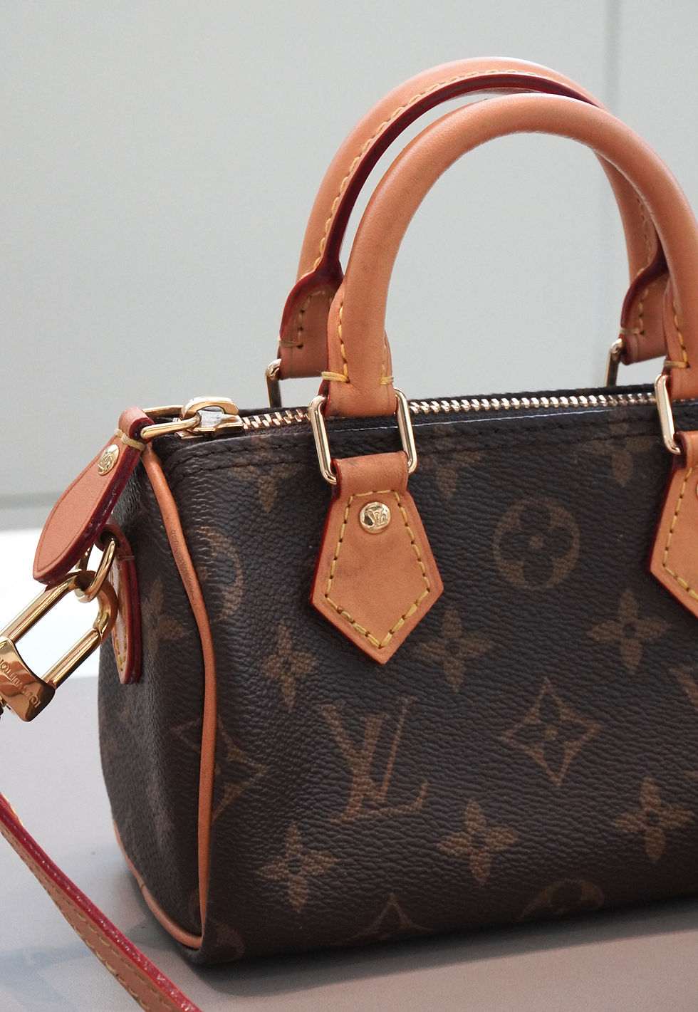 Thumbnail: Louis Vuitton Speedy Nano