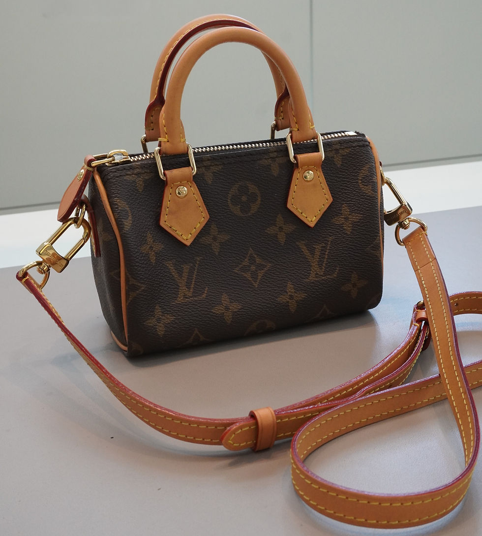 Thumbnail: Louis Vuitton Speedy Nano