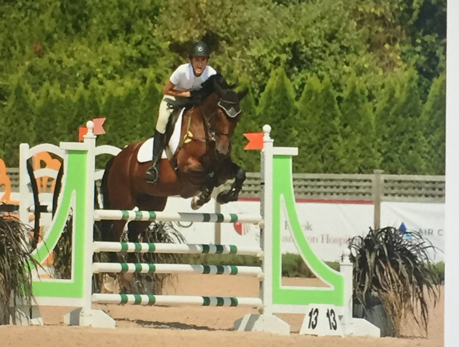 Horseback Riding Lessons Horse Showing Sales & Leasing Hamptons NY