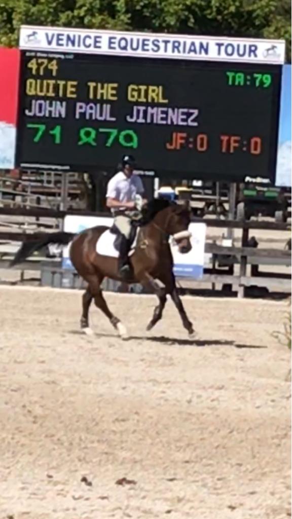 Horseback Riding Lessons Horse Showing Sales & Leasing Hamptons NY