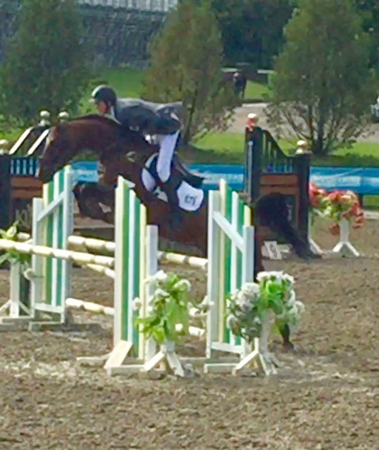 Horseback Riding Lessons Horse Showing Sales & Leasing Hamptons NY