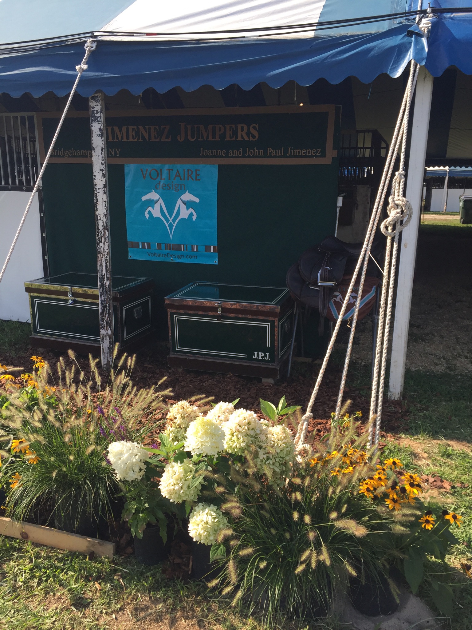 Horseback Riding Lessons Horse Showing Sales & Leasing Hamptons NY