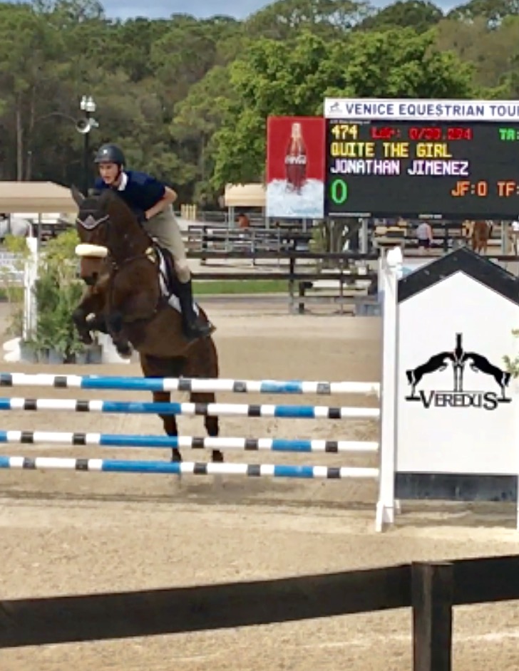 Horseback Riding Lessons Horse Showing Sales & Leasing Hamptons NY