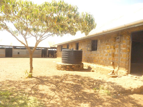 homalime-Part of the school buildings- homalime 2.JPG