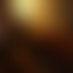 Spašavanje historijskog blaga Timbuktua 