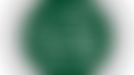 Metodologija ocjene hadisa u hanefijskom mezhebu!