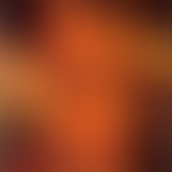 Kralj Stjepan Tomašević i uzroci pada srednjovjekovne Bosne pod osmansku vlast