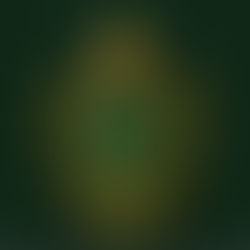 Ehli-sunnetska eš‘arijska i maturidijska akida (teologija), koja predstavlja vjerovanje većine muslimana kroz historiju islama, nije ono što se danas pod tim imenom predstavlja u vehabijskim kjnigama!