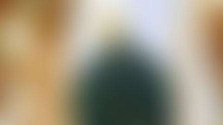 Mevlud iz perspektive Sulejmana Čelebija