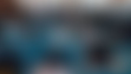 Austrija pokreće program nadzora nad muslimanima