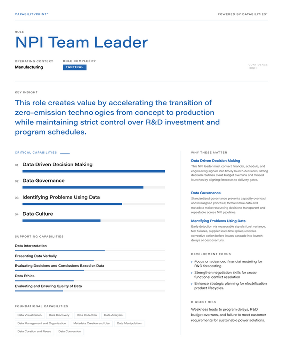NPI Team Leader