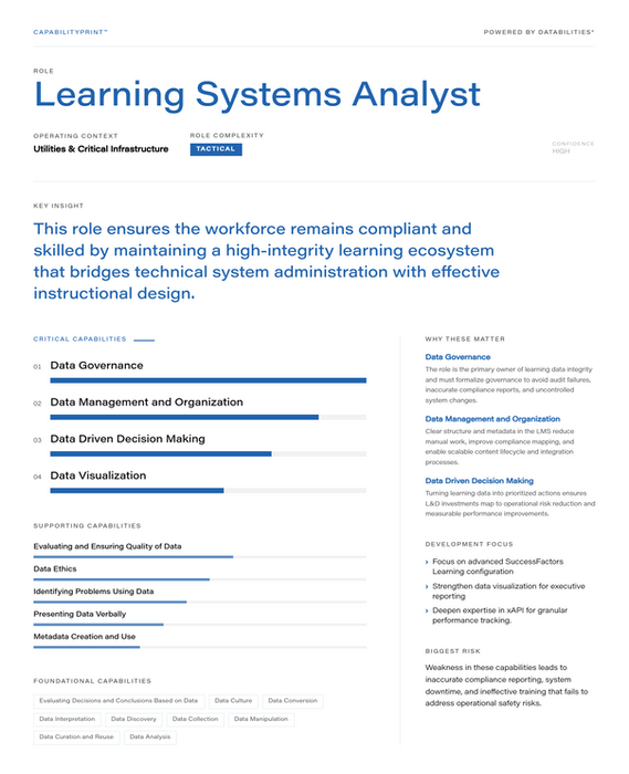 Learning Systems Analyst