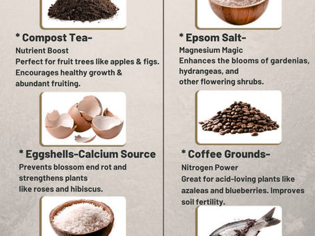 Six Natural Fertilizers