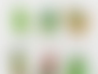 6 signs your plant is sick