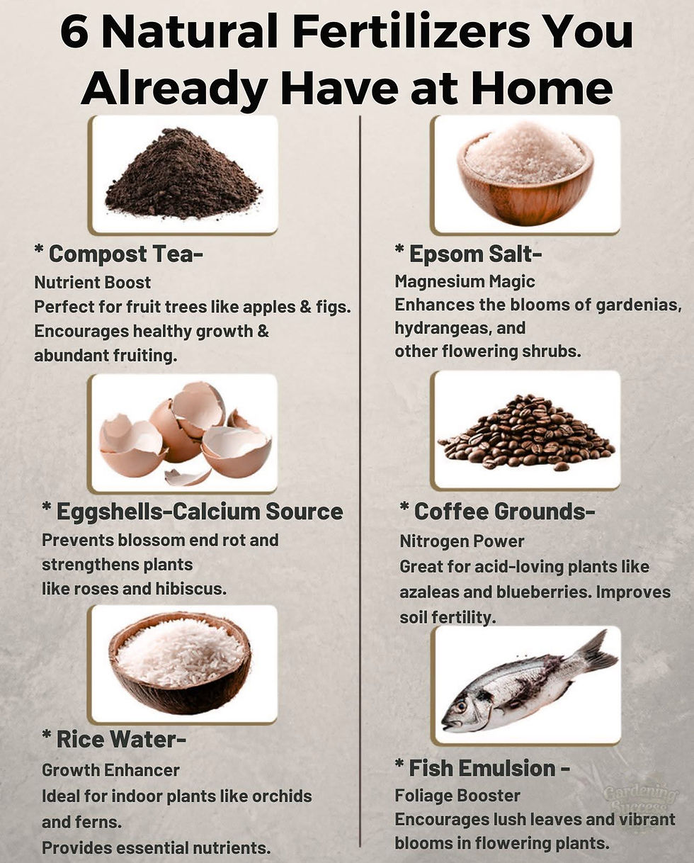 Skip the chemicals and feed your plants with these simple, powerful pantry and garden boosters