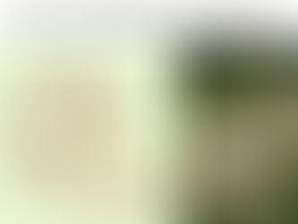 Sawhorse example dimensions