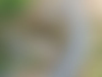 Edge project example