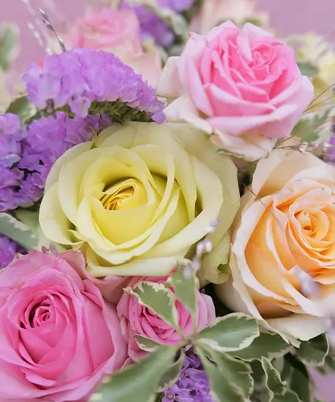 roses multi couleurs.webp