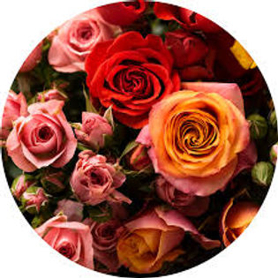 roses.jpg