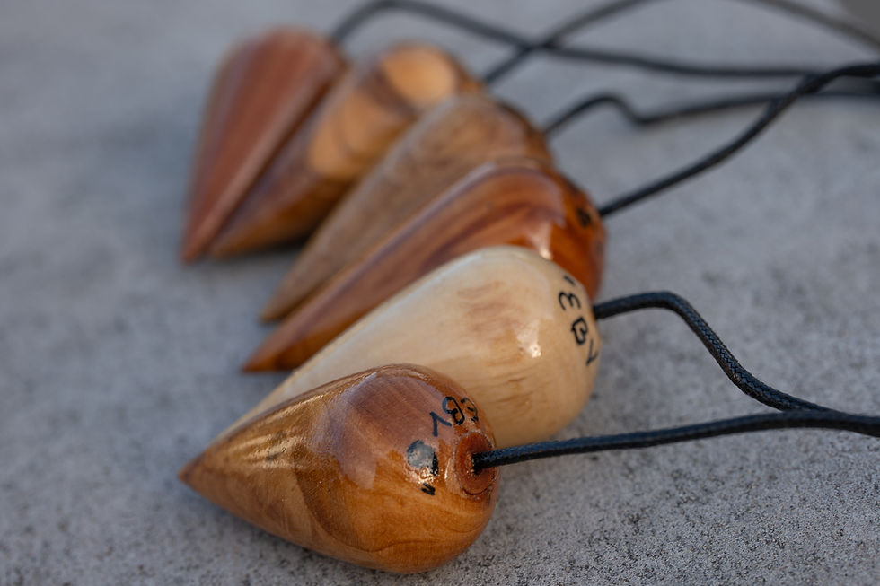 Miniaturbild: Pendelset EBV Virus