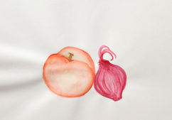 Watercolor painting of an apple and an onion.