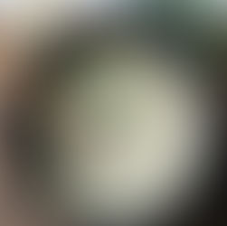 Cauli & Broccolini Cheddar Soup