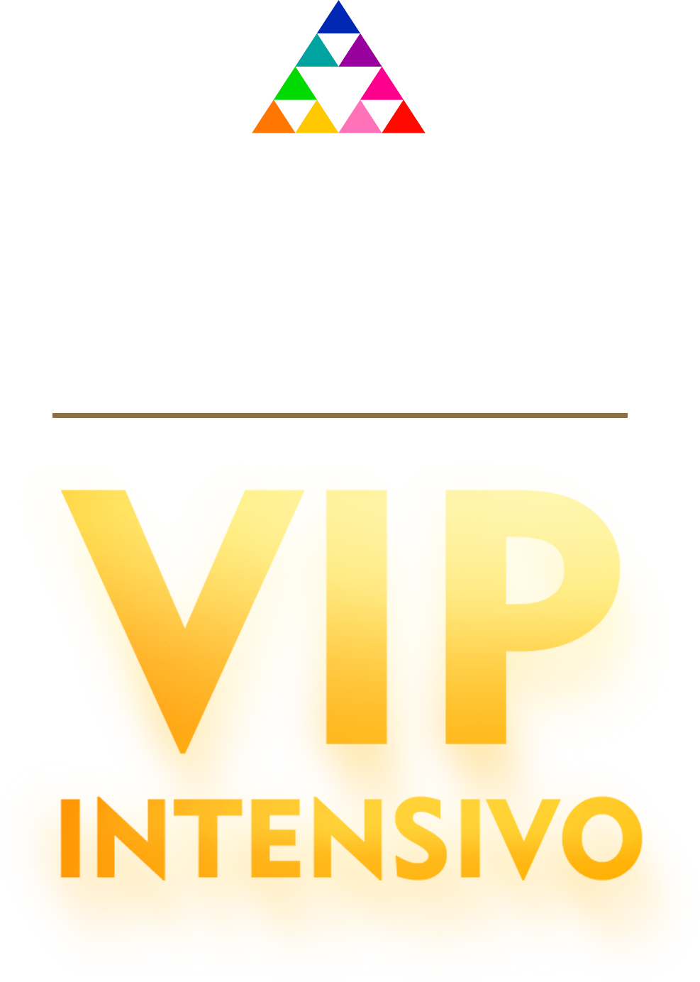 Logo estilizada - VIP Intensivo Vertical.png