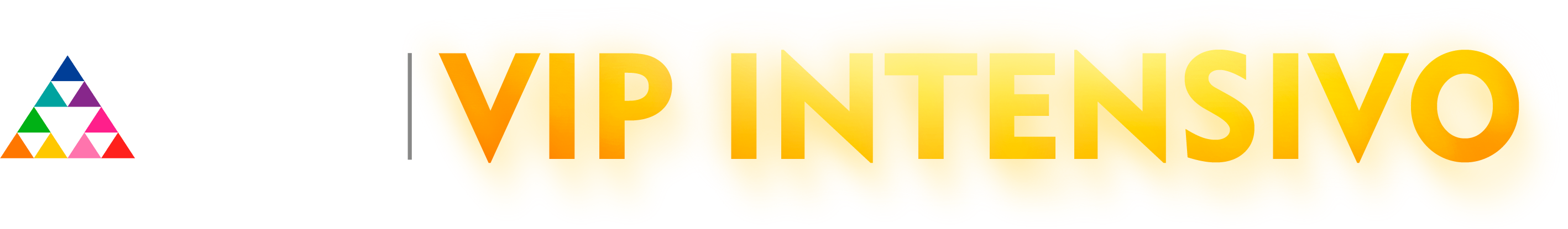 Logo estilizada - VIP Intensivo Horizontal V2.png