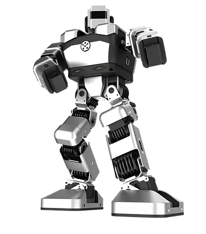 3.webp