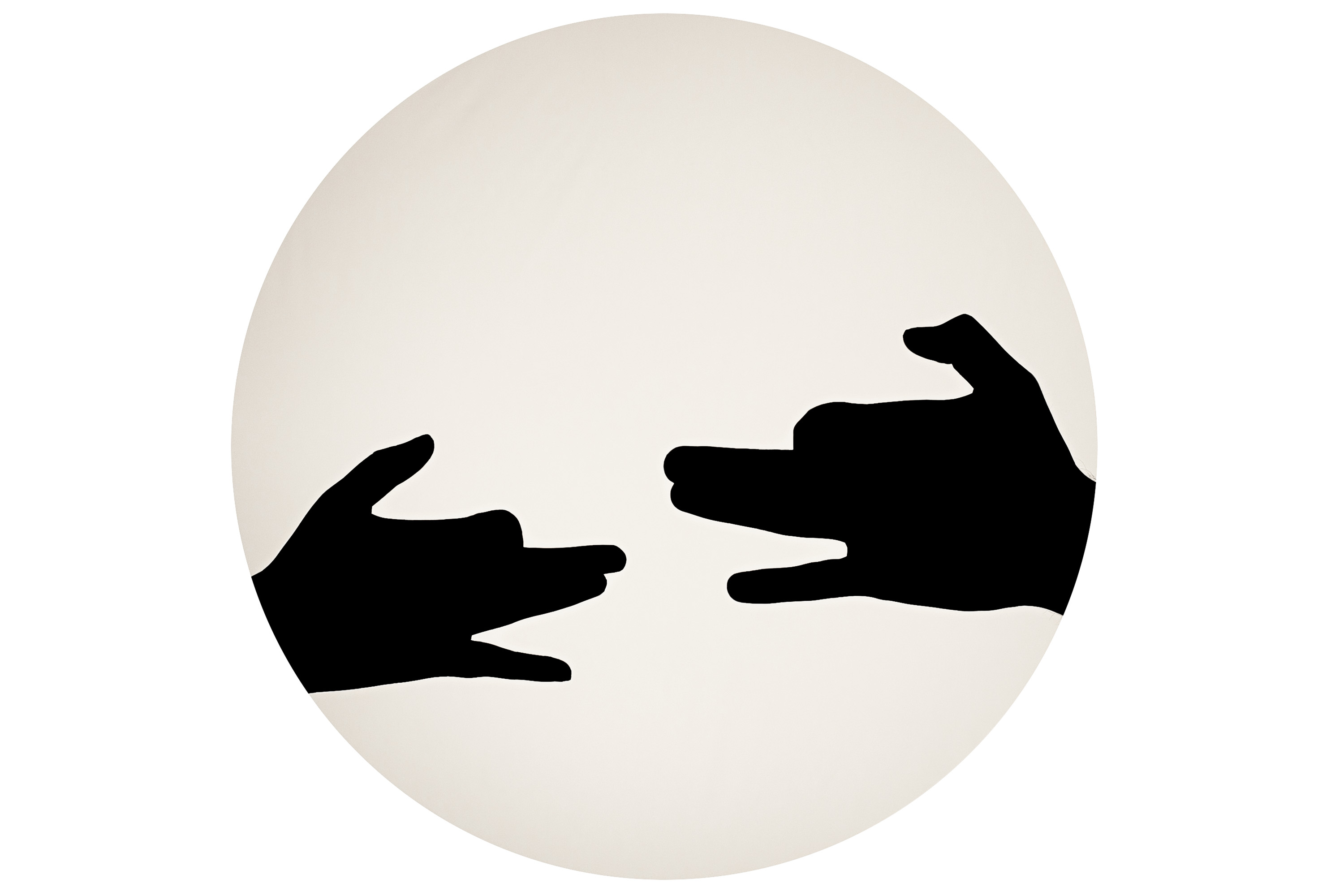 Portrait In-Camera - Shadow Puppets