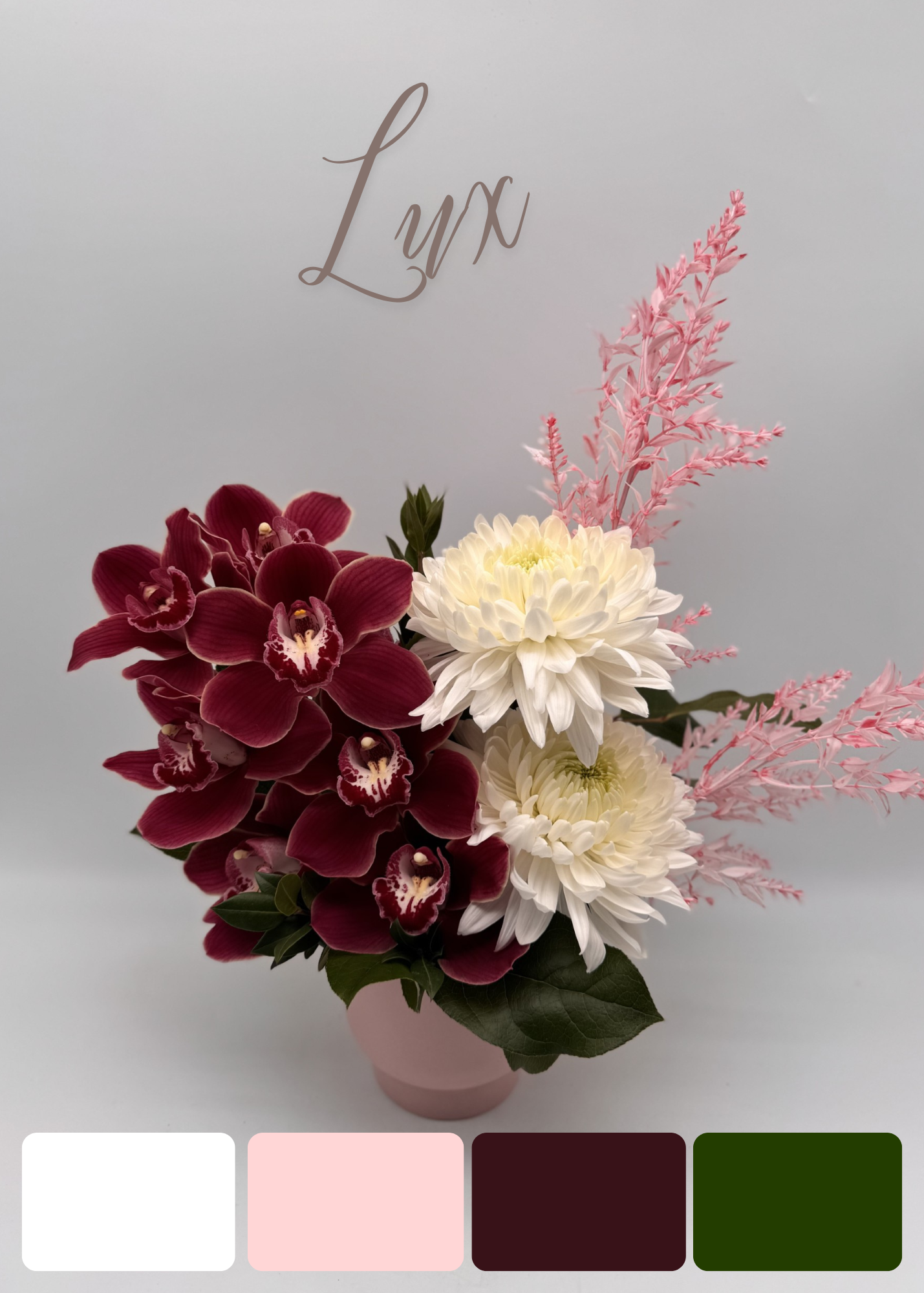 Orchid & Mum Moment - Lux