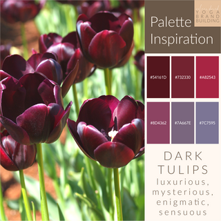 yoga brand building, colour palettes, color palettes, palette inspiration, dark tulips, dark red palette, maroon palette