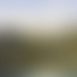 Les trésors disparus de Saint-Cloud