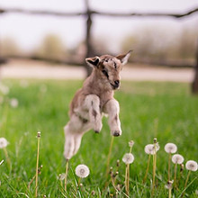 51991385_10218459687313322_2084547542296