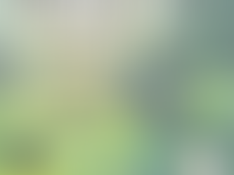 Overcome Mental Blocks & Achieve Your Goals