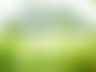 3 Ps to a Greener Lawn