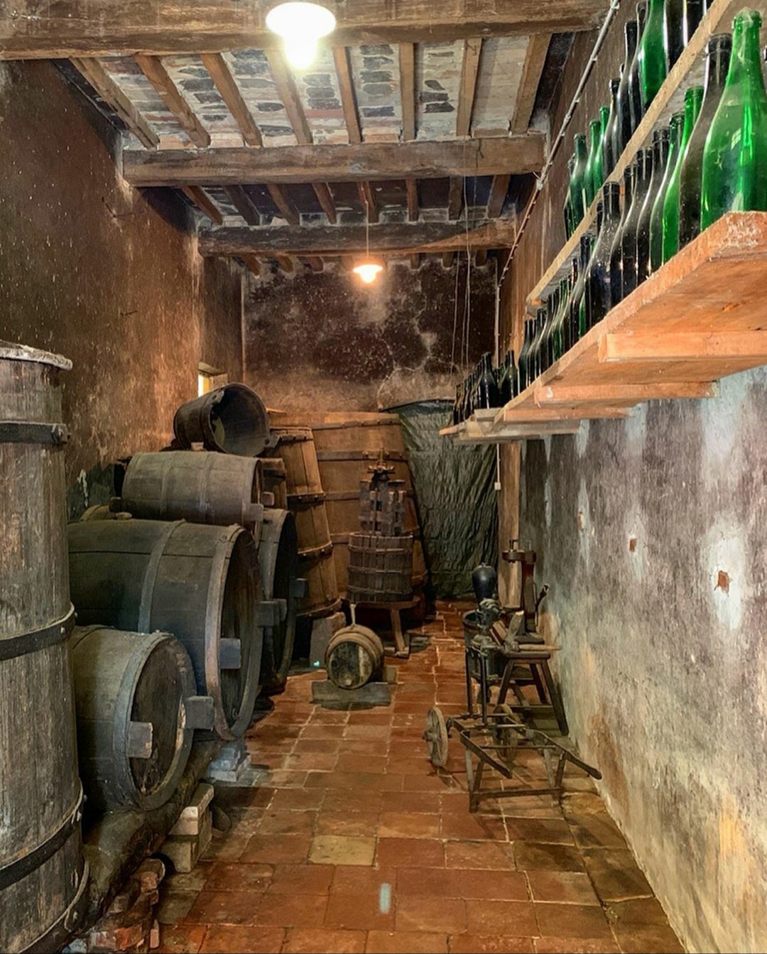 Wine cellar