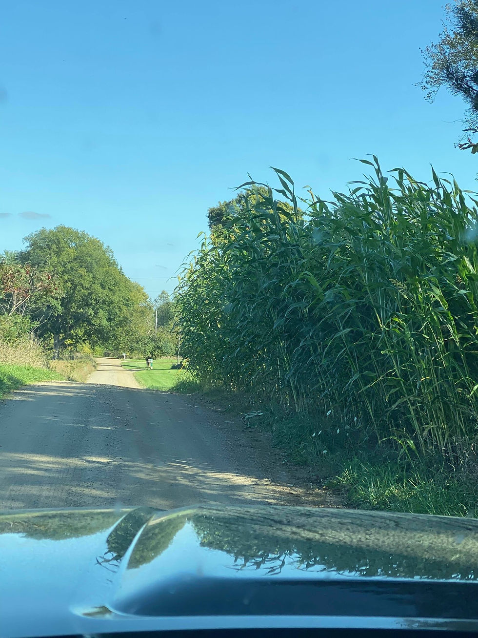Thumbnail: Food Plot Screen: Heavy Duty Variety