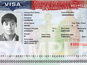 Learn English in Brooklyn With an F-1 Student Visa