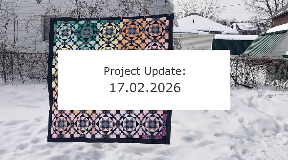 Project Update: 17.02.2026